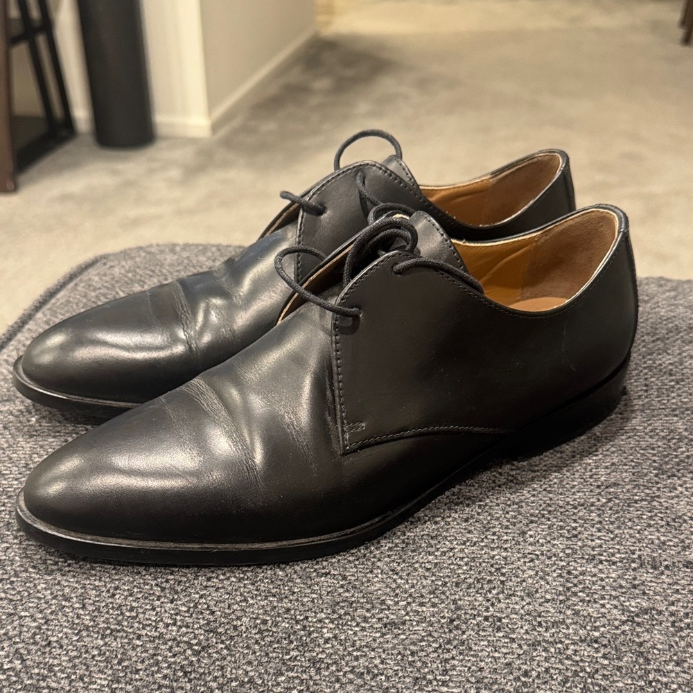 Everlane Modern Oxfords